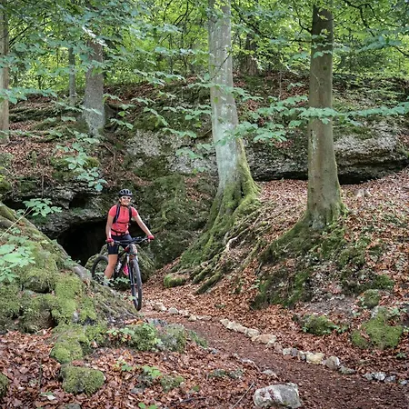Semesterbostad 3-zi App Garni I Fraenkische Schweiz, Miselgau-obernsees *